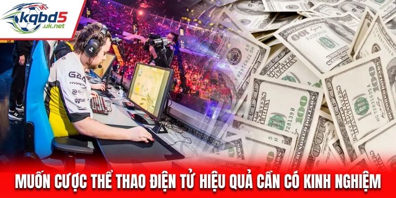 Muốn cược thể thao điện tử hiệu quả cần có kinh nghiệm
