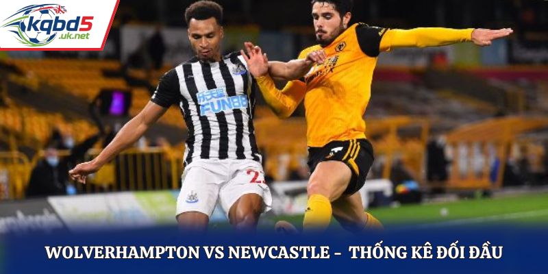 Dựa vào lịch sử đối đầu soi kèo Wolverhampton vs Newcastle
